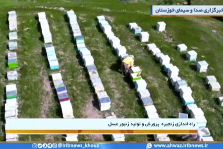 بهره برداری از طرح زنجیره ارزش تولید و پرورش زنبور عسل در خوزستان