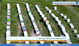 بهره برداری از طرح زنجیره ارزش تولید و پرورش زنبور عسل در خوزستان
